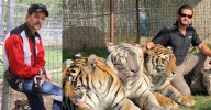 'Tiger King' Joe Exotic's Pal Mauled by Wild Cat During Show