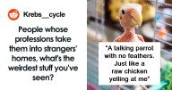 “The Horrors I Saw In That Home Nearly Broke Me”: 30 Weird Things Workers Have Seen Inside Strangers’ Homes