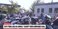 TJO charity surpasses goal
