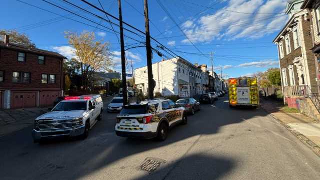 Investigation underway after body found over hillside at cemetery in Troy Hill