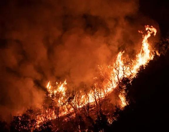 Parques Nacionales informó la situación de los incendios activos en Córdoba, Corrientes, Jujuy y Salta