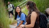 Weber State enrollment up from Weber, Morgan, Davis counties after start of admission program