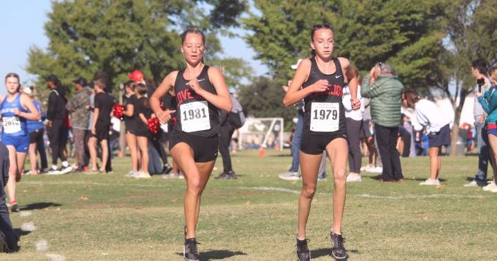 Lovejoy, Frisco ISD, McKinney North XC teams punch tickets to state