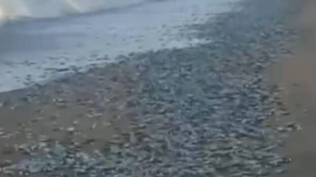 People throng Nileshwaram beach after witnessing special phenomenon