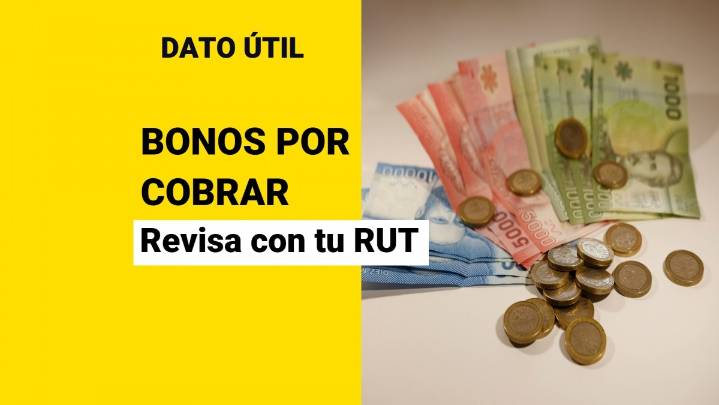 ¿Tienes bonos sin cobrar? Revisa con tu RUT tus pagos pendientes en el IPS