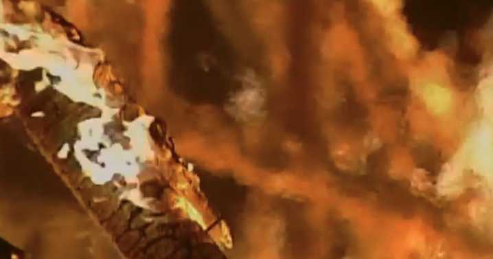 Man found dead after mobile trailer, car fire in Henderson