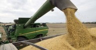 Trump says China's Xi using soy as negotiation tactic