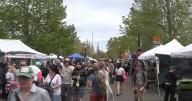 SNAP users get boost at Corvallis-Albany Farmers Markets in November