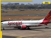 Ahead of Chhath puja, Diwali, Spicejet launches new festive flights to THESE...