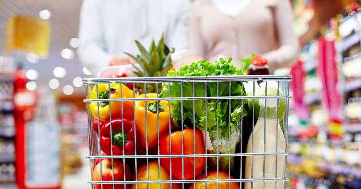 United Way launches Food Insecurity Fund ahead of SNAP benefit end