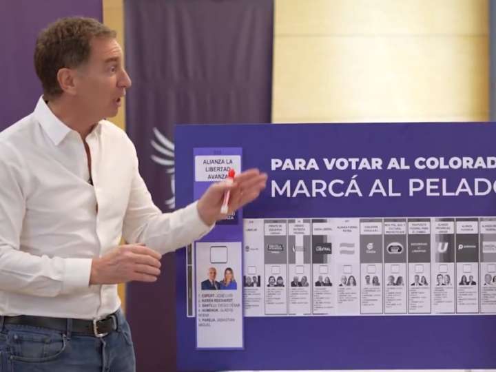 "Para votar al colorado, marcás al pelado”: el spot de La Libertad Avanza para la provincia en el que evitan nombrar a Espert