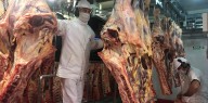 Las exportaciones de carne crecieron un 25% en valor: ingresaron casi US$ 2.800 millones en lo que va del año