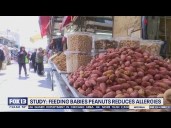 Peanut allergy study: Feeding babies peanuts reduces allergies