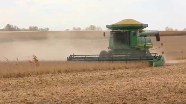 Iowa farmers react to China trade deal, call for stronger trade policies