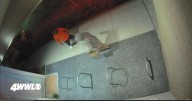 Last of four teens charged in carjacking of New Orleans DA and his mother pleads guilty