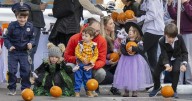 Saratoga Springs pumpkin roll in 27 photos