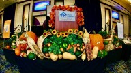 40th annual Project Hospitality Harvest Gala will honor 4
