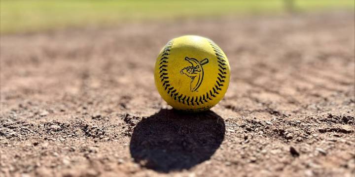 Savannah Bananas baseball set to return to Colorado in 2026!