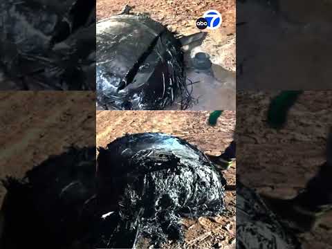 Mysterious Burning Space Junk Crashes Down in Rural Australia