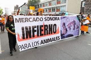 Victoria histórica para el bienestar animal: prohíben venta de animales en el Mercado de Sonora