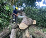 Bomberos atendieron más de siete emergencias durante el puente festivo en Ibagué