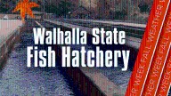 Fall Weather Week: Walhalla State Fish Hatchery