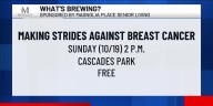 What's Brewing - Making Strides Against Breast Cancer