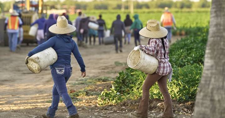 Piden fortalecer protección a migrantes en redadas en Estados Unidos