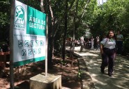 El Ombligo Verde ‘no se toca’; destacan su importancia histórica en Cancún
