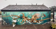 Stormy tales and a touch of humour from Ireland's Bantry Bay