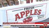 Chattanooga Apple Festival Returns for the Weekend