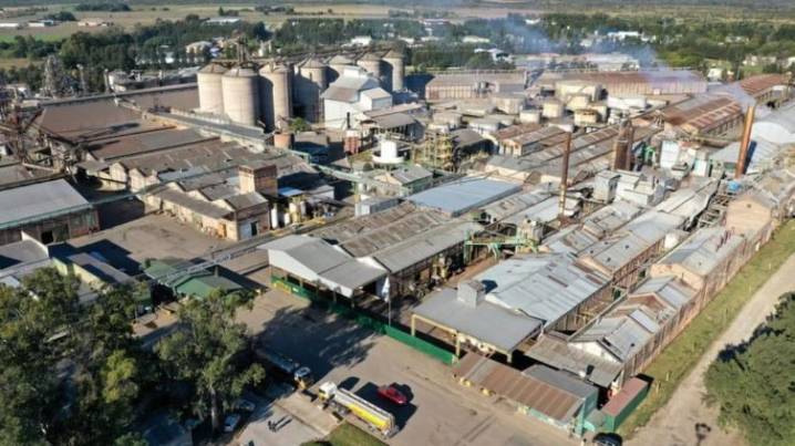 Vicentin: el Grupo Grassi informó que logró la mayoría de avales para tomar el control de la compañía