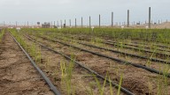 De Norte a Sur: Cómo el calentamiento global borra las fronteras climáticas del país