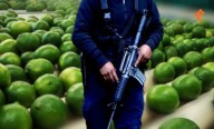 Opera crimen dentro de asociaciones limoneras: Alcaldesa de Apatzingán
