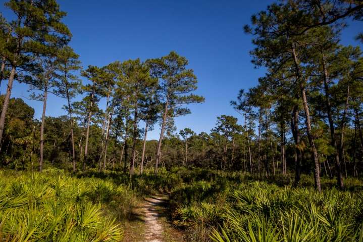 Central Florida: 15 hiking trails to explore this fall
