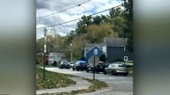 Man hospitalized after being bitten by dog in Nashua, NH
