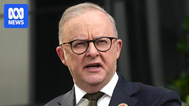 Anthony Albanese raised concerns over 'unsafe' military encounter with Chinese premier