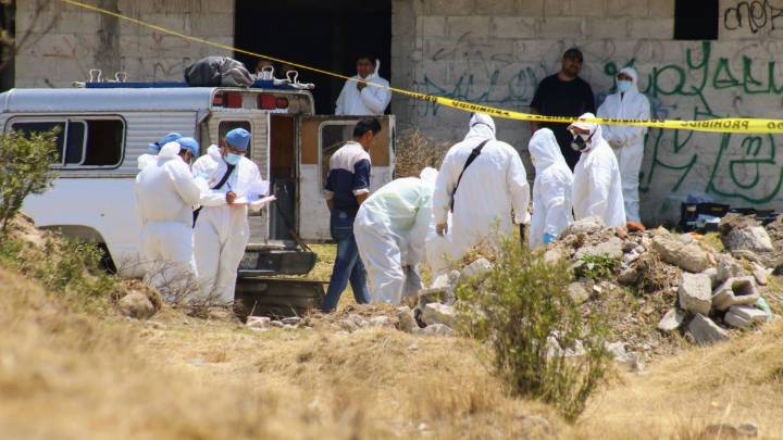 Alerta. Perros localizan cabeza humana en barranca de La Resurrección, Puebla