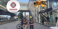 Ataque de abejas en la estación Mercado del Mar deja a seis personas lesionadas