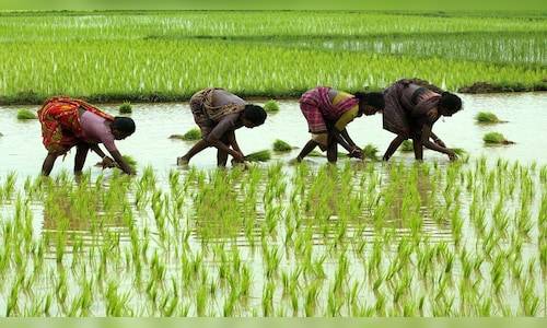 PM-KISAN 21st instalment update: What to expect for farmers across India