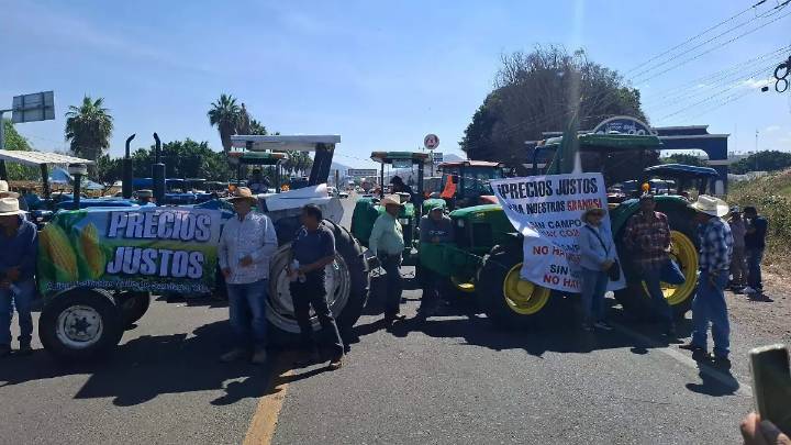 No cederán en Valle de Santiago a ofertas bajas por sus cosechas