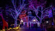Cleveland Metroparks Zoo announces return of Wild Winter Lights for 2025 holiday season