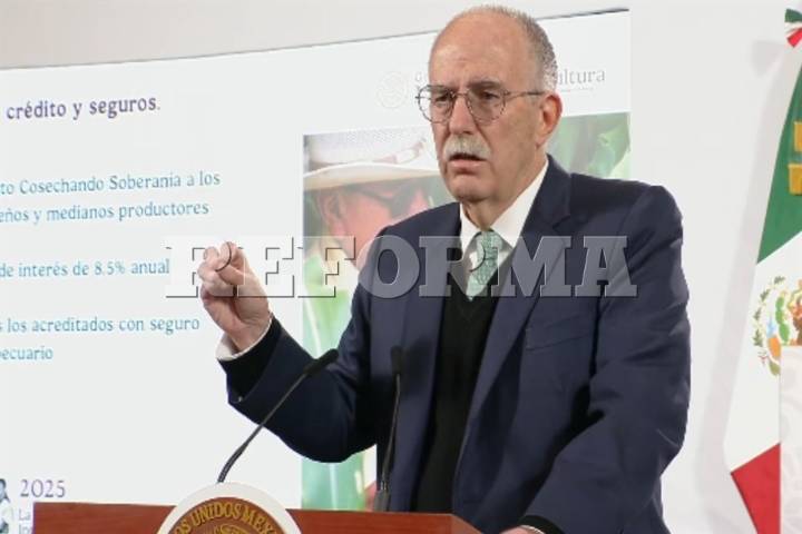 Van por sistema para ordenar y comercializar maíz