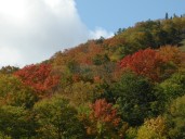 Rain to end ‘beautiful’ fall day in Mass., followed by weekend cold snap