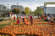 Descubre DC en otoño: colores y sabores de México