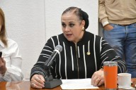 Propone diputada reconocer ciudadanía desde los 16 años