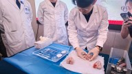 El doctor Lin cura huesos en tres minutos... con el pegamento de las ostras que sujetan puentes en China desde el siglo X