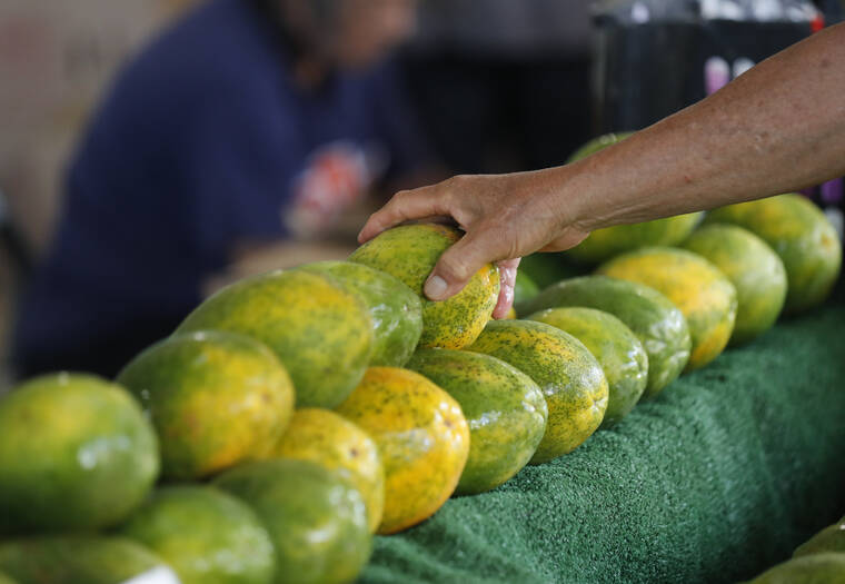 Kokua Line: Will SNAP be paid if shutdown persists?