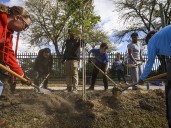 Photo Gallery: RE-TREE Urban Forestry Teen Tree Planting event