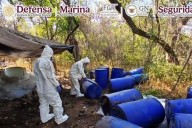 Aseguran fentanilo, metanfetaminas y precursores químicos en megaoperativo en Sinaloa